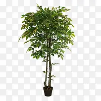 дʵâ����-������