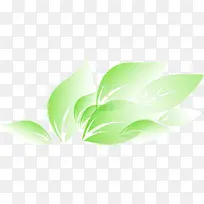 卡通手绘精美树叶-空若网 卡通手绘精美树叶-空若网