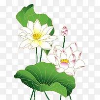 �ֻ濨ͨ��������-������