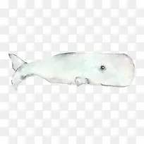 ��ɫ����-������