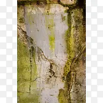 Çà̦ǽ±Ú±³¾°-¿ÕÈôÍø Çà̦ǽ±Ú±³¾°-¿ÕÈôÍø