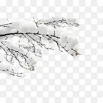 雪中白色树枝-空若网 雪中白色树枝-空若网