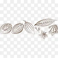 手绘可可 可可叶子-空若网 手绘可可 可可叶子-空若网