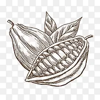 手绘可可豆-空若网 手绘可可豆-空若网