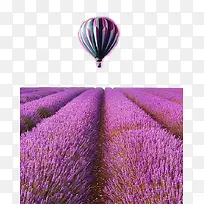 薰衣草热气球-空若网 薰衣草热气球-空若网