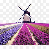 �糵�µ�޹�²�-������