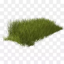 �Ӳݼ�����-��-������