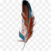 �ֻ���ë-������