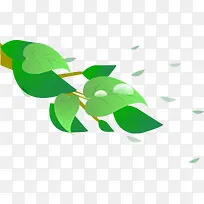 手绘绿叶-空若网 手绘绿叶-空若网