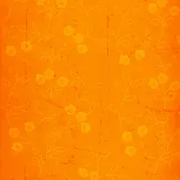 橙色植物背景-空若网 橙色植物背景-空若网
