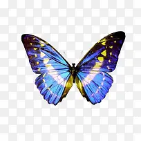 ����ɫ�ĺ���-������