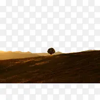 山坡上的树-空若网 山坡上的树-空若网