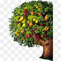 ˮ����-������