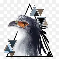 ʸ����ӥ-������