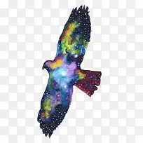 水彩老鹰-空若网 水彩老鹰-空若网