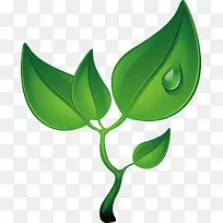 嫩芽png矢量素材-空若网 嫩芽png矢量素材-空若网