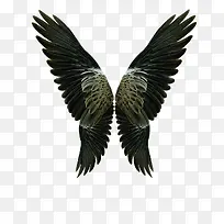 ���-������