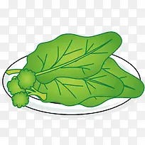 Ò»ÅÌÇà²Ë-¿ÕÈôÍø Ò»ÅÌÇà²Ë-¿ÕÈôÍø