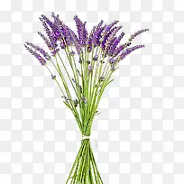 һ��޹�²�-������