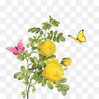 ��ɫװ�λ�-������