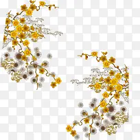 花朵-空若网 花朵-空若网