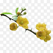 Ұ��-������