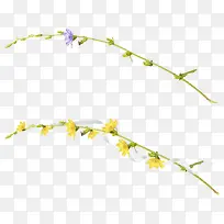 树枝-空若网 树枝-空若网