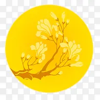 ��-������