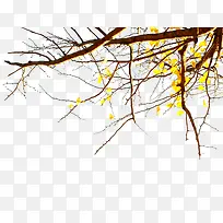 阳光下的枯树枝秋树-空若网 阳光下的枯树枝秋树-空若网