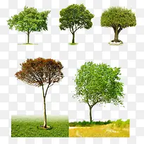 ������-������