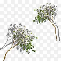 ��֦-������