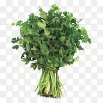 蔬菜桌面壁纸夹艺术.香菜-空若网 蔬菜桌面壁纸夹艺术.香菜-空若网