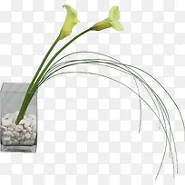 花瓶-空若网 花瓶-空若网