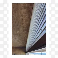 ������Ӱ��������-������