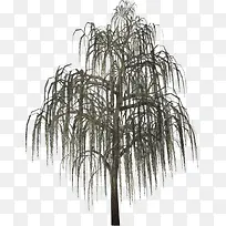 古风柳树树枝-空若网 古风柳树树枝-空若网