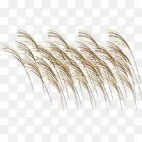 «ε´Ê¸Á¿ËزÄ-¿ÕÈôÍø «ε´Ê¸Á¿ËزÄ-¿ÕÈôÍø