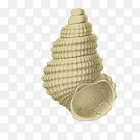 ����ˮ������-������