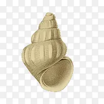 田螺-空若网 田螺-空若网