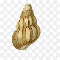 螺丝-空若网 螺丝-空若网