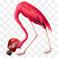 火烈鸟抽象设计-空若网 火烈鸟抽象设计-空若网