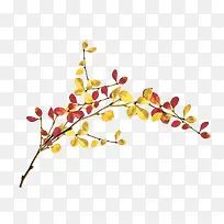 创意枝叶-空若网 创意枝叶-空若网