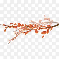 ��ɫ��Ҷ֦ͷ-������