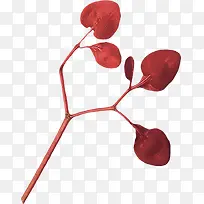 红树枝-空若网 红树枝-空若网