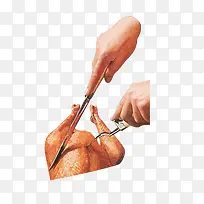 火鸡-空若网 火鸡-空若网