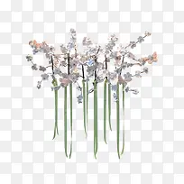 白色茂密花朵-空若网 白色茂密花朵-空若网