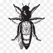 ���趯��-������