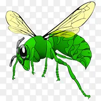 ����-������