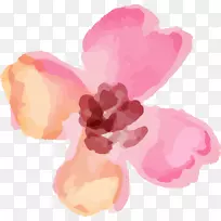 »¨»¨°êË®²Ê»ÇéÈ˽ڼôÌù»»¨¶ùË®²Ê»-¿ÕÈôÍø »¨»¨°êË®²Ê»ÇéÈ˽ڼôÌù»»¨¶ùË®²Ê»-¿ÕÈôÍø