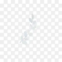 Ư����Ҷ-������