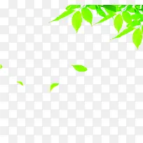 绿色春季漂浮绿叶树叶树枝-空若网 绿色春季漂浮绿叶树叶树枝-空若网